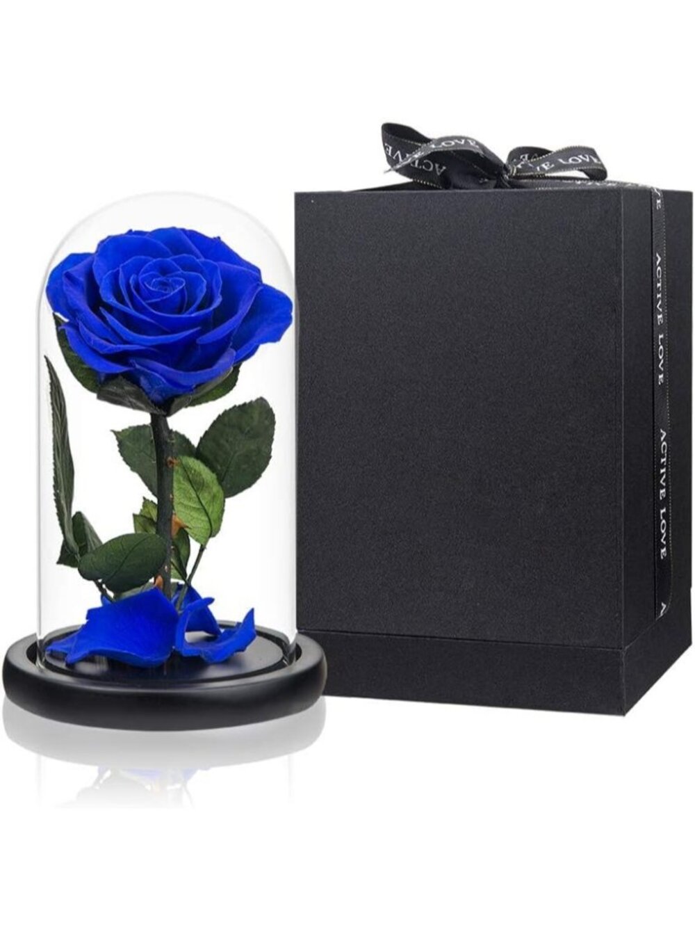 New Preserved Roses Royal Blue Roses in Glass Dome, Medium